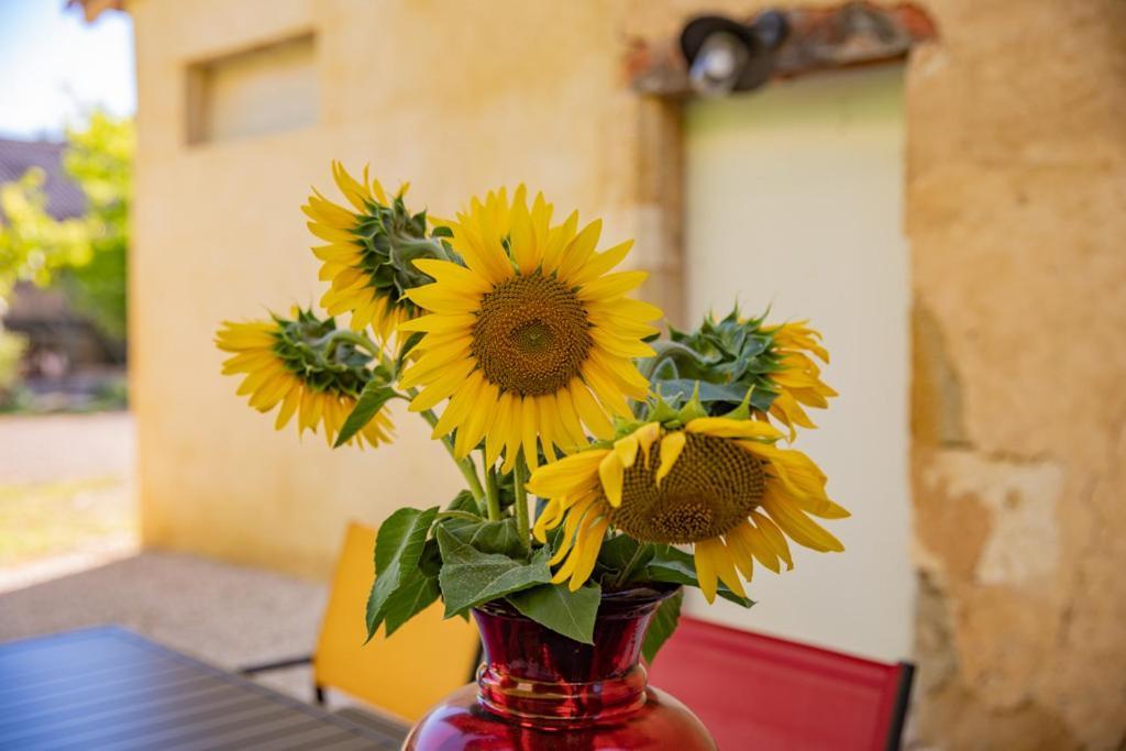 Domaine De Laplan Bed & Breakfast Cezan Exterior foto